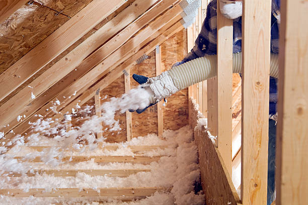 Professional Insulation Removal & Installation in Greensboro, AL